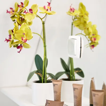 Hisa Pod Gradom Apartma