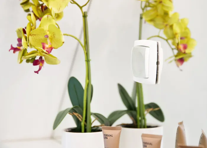 Hisa Pod Gradom Apartman