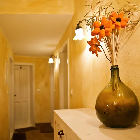 城市公寓 公寓 *