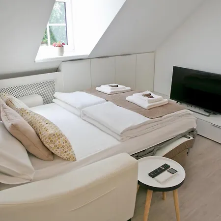 城市公寓 * 卢布尔雅那